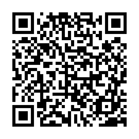 QR code for HUO 563
