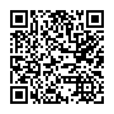 QR code for HWN 397