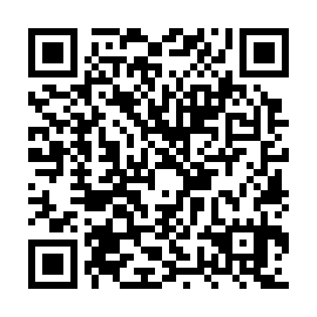 QR code for HWO335