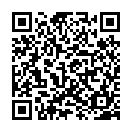 QR code for plate HXS 234