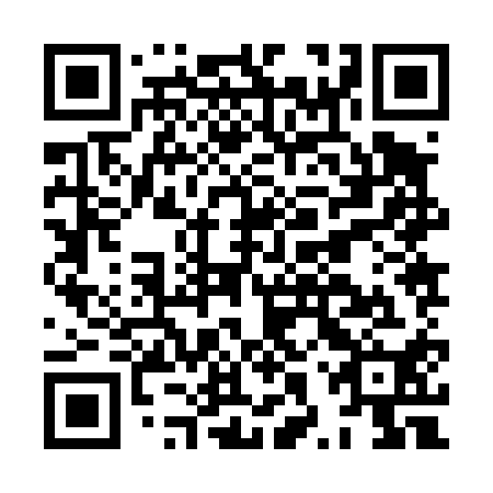 QR code for plate HXZ 410