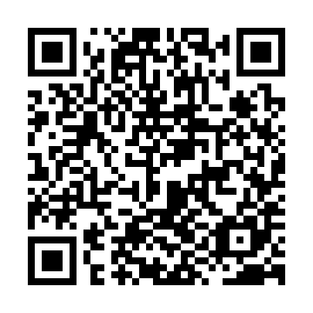 QR code for plate HYG 385