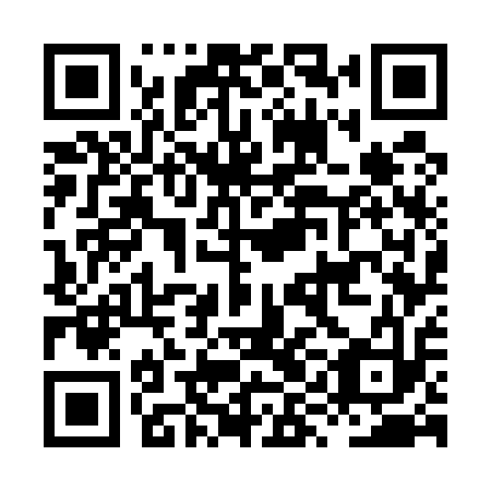 QR code for plate HYG 513