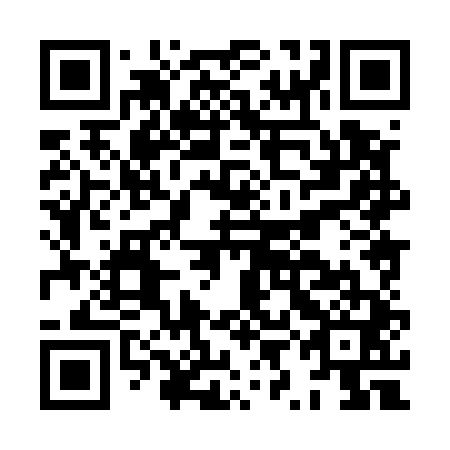 QR code for plate HYH 541