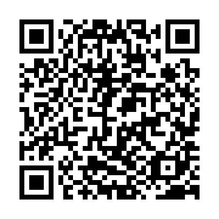 QR code for HYN 381