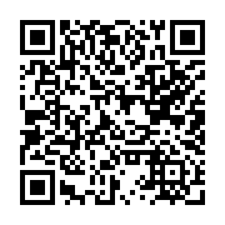 QR code for HYQ 991