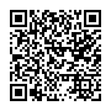 QR code for HYS 963