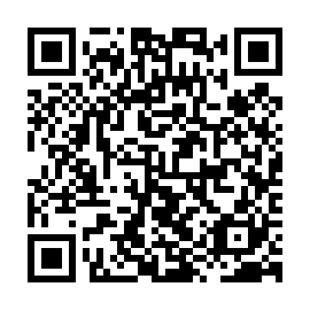 QR code for plate HYS 420