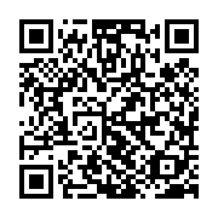 QR code for HYZ 409