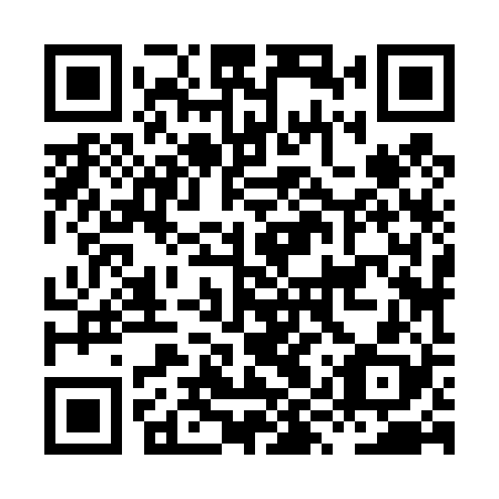 QR code for HYZ 428