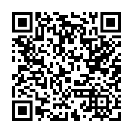 QR code for HZM 313