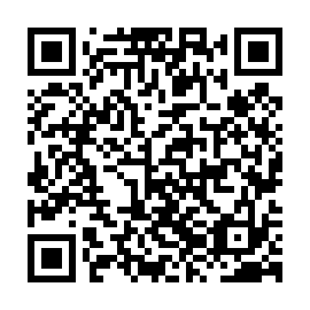 QR code for HZN 433