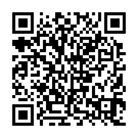 QR code for HZQ311