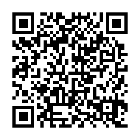 QR code for HZZ 335