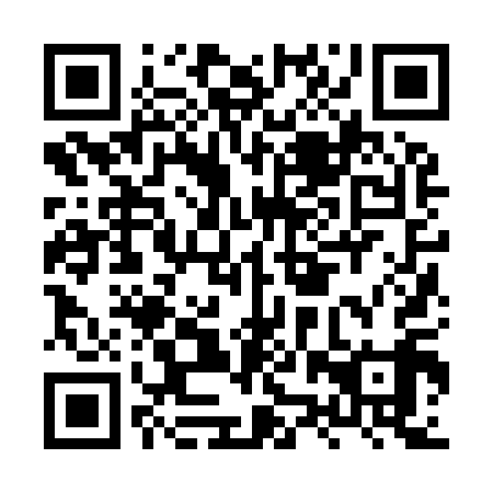QR code for HZZ 919
