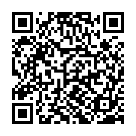 QR code for IAG 973