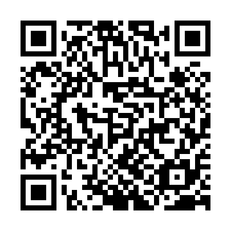 QR code for plate IAG 815
