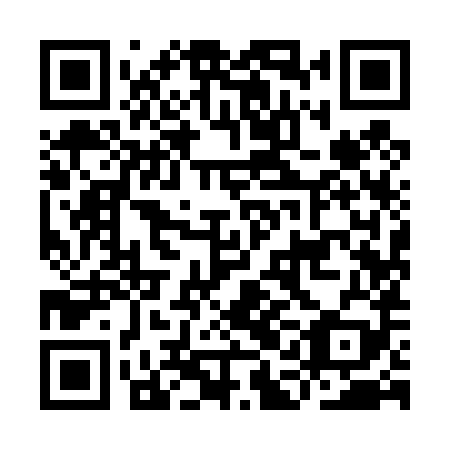 QR code for IAI 489