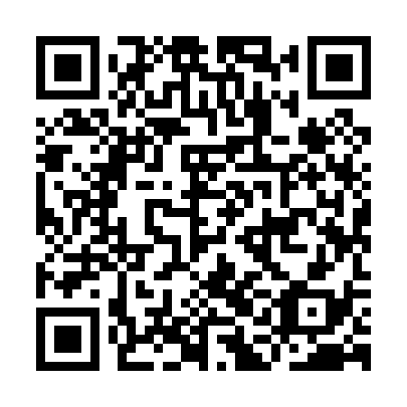 QR code for plate IAI 038