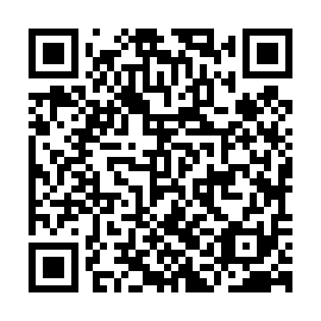 QR code for IAJ 411
