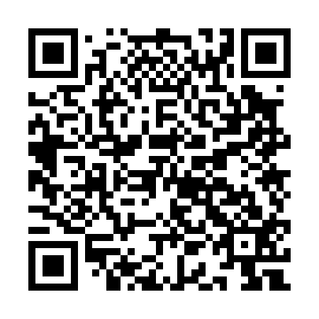 QR code for IAO 013