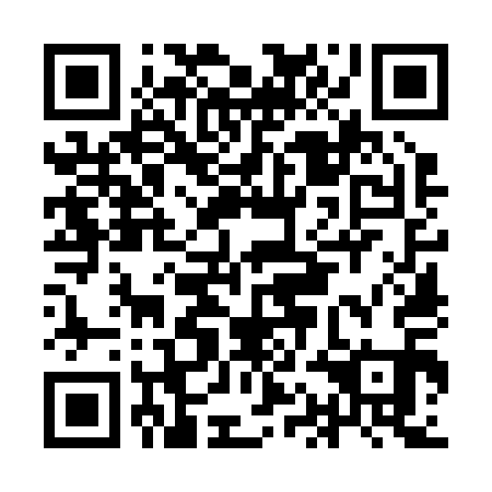 QR code for plate IAO 211