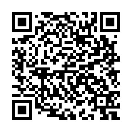 QR code for plate IAP 133