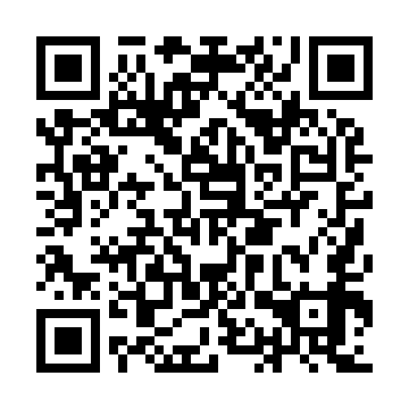 QR code for IAP959