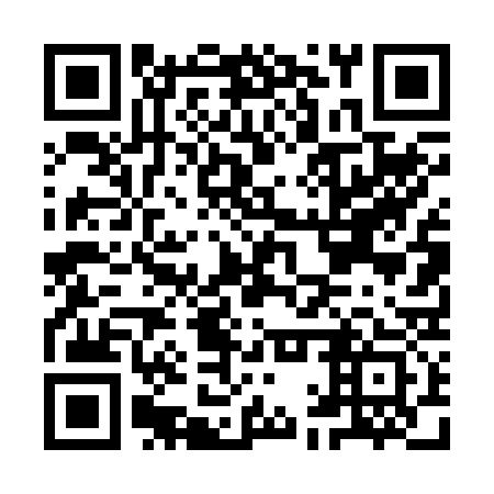 QR code for IAT233