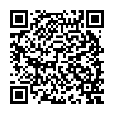 QR code for plate IAT 295