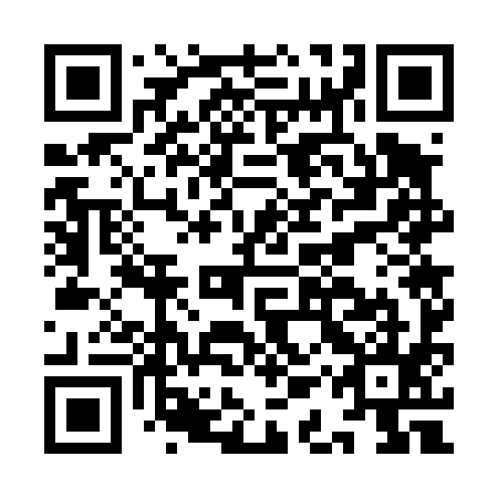 QR code for plate IAW 495