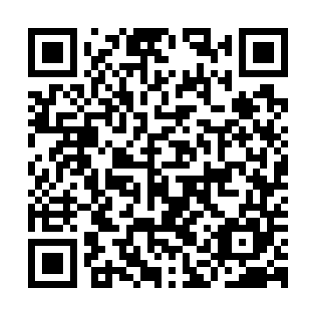 QR code for plate IAW 745