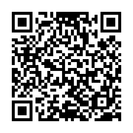 QR code for plate IBM 452