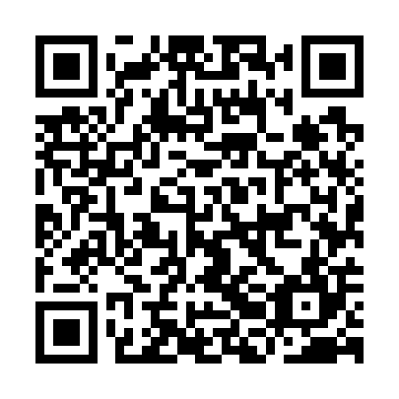 QR code for plate IBM 704