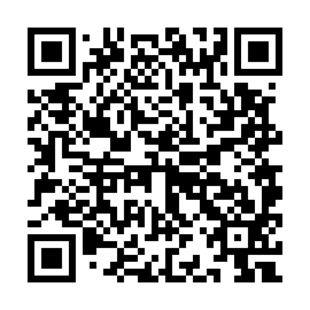 QR code for IBV 593