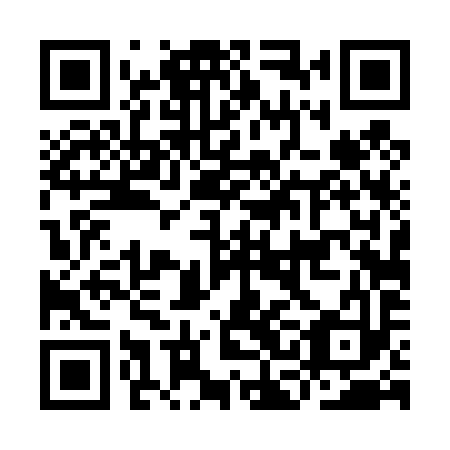 QR code for ICD 493