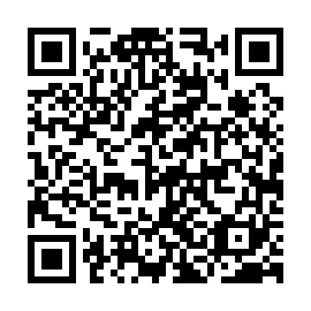 QR code for plate ICD 161