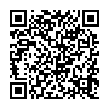 QR code for plate ICD 399