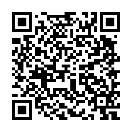 QR code for plate ICE 496