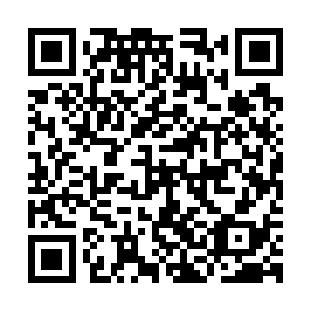 QR code for plate ICE 738