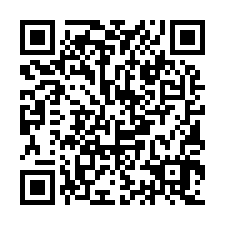QR code for plate ICE 907