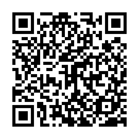 QR code for ICG 541