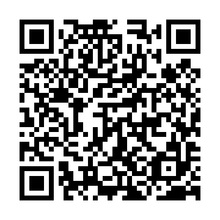 QR code for ICM 492