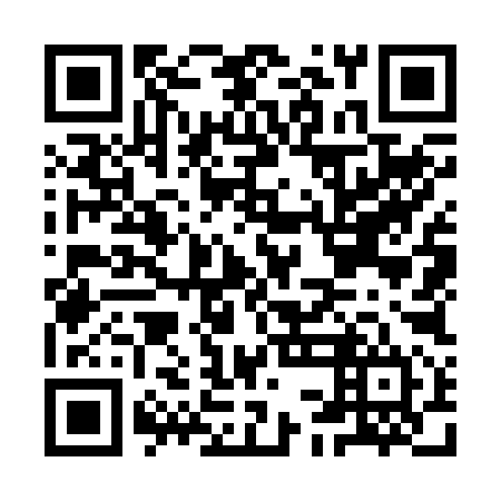 QR code for ICO 294