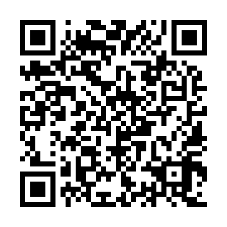 QR code for ICO 918