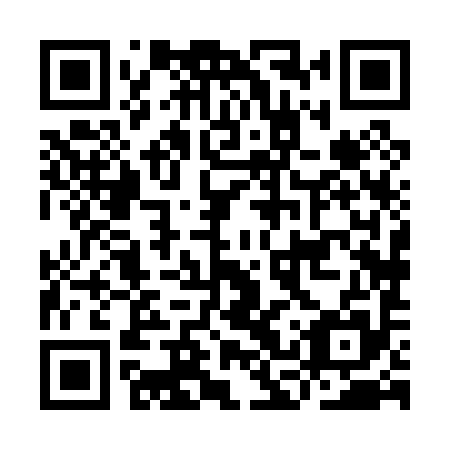 QR code for ICX 095