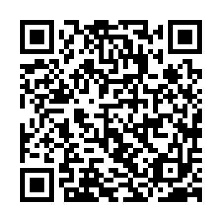 QR code for ICX 313