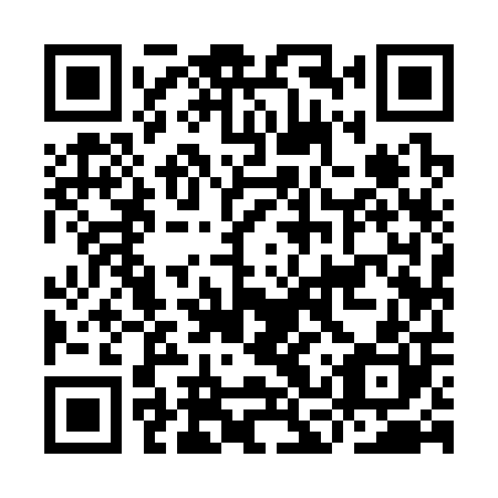 QR code for ICY 300