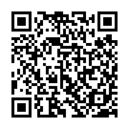 QR code for ICY 691