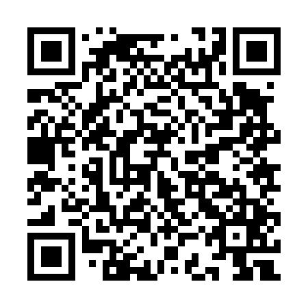 QR code for ICZ 445